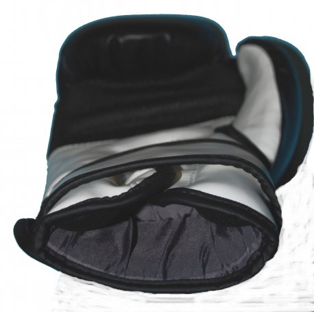 GUANTE SPARRING PRO 14