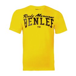 CAMISETA COMBAT CLUB GRIS