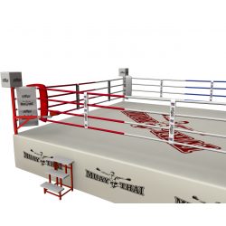 RING PROFESIONAL ENTRENAMIENTO