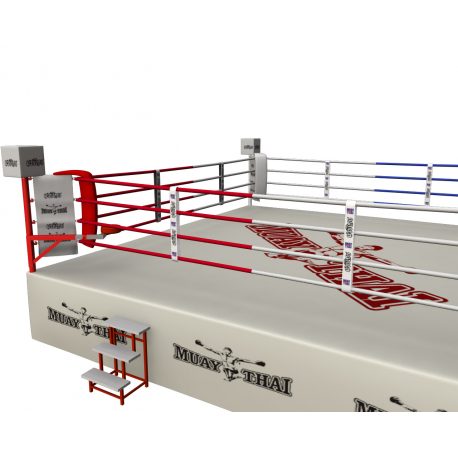 RING PROFESIONAL ENTRENAMIENTO