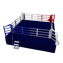 RING PROFESIONAL ENTRENAMIENTO