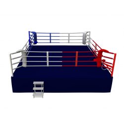 RING PROFESIONAL ENTRENAMIENTO