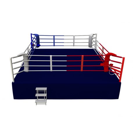 RING PROFESIONAL ENTRENAMIENTO