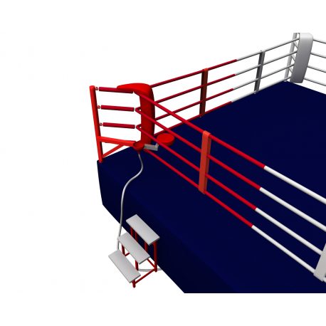 RING PROFESIONAL ENTRENAMIENTO