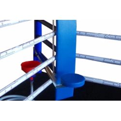 RING PROFESIONAL ENTRENAMIENTO