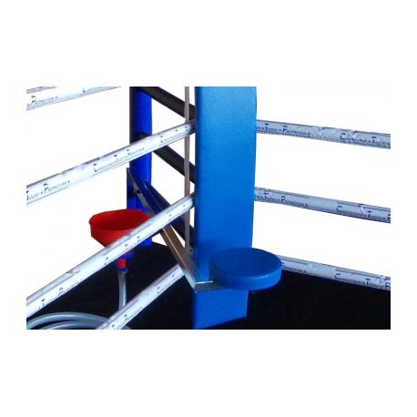 RING PROFESIONAL ENTRENAMIENTO