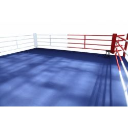 RING PROFESIONAL ENTRENAMIENTO
