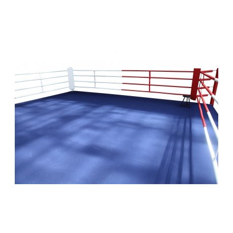 RING PROFESIONAL ENTRENAMIENTO