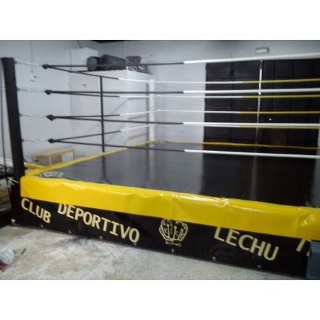RING PROFESIONAL ENTRENAMIENTO