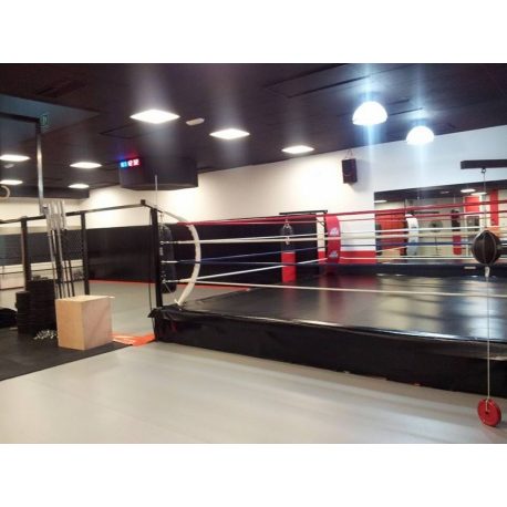 RING PROFESIONAL ENTRENAMIENTO