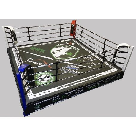 RING PROFESIONAL ENTRENAMIENTO