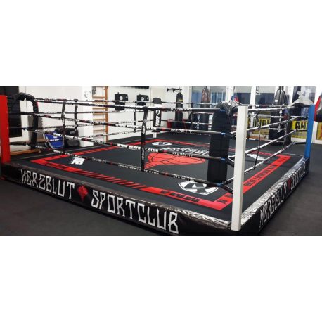 RING PROFESIONAL ENTRENAMIENTO