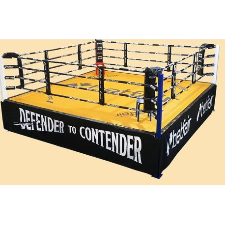 RING PROFESIONAL ENTRENAMIENTO