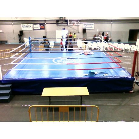 RING PROFESIONAL ENTRENAMIENTO