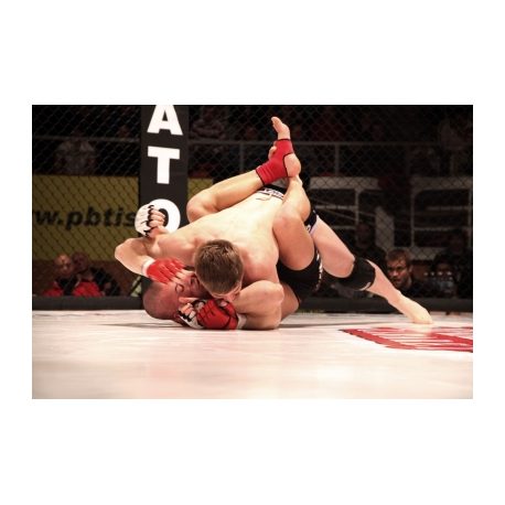 LONA OCTAGÓN MMA ALGODÓN