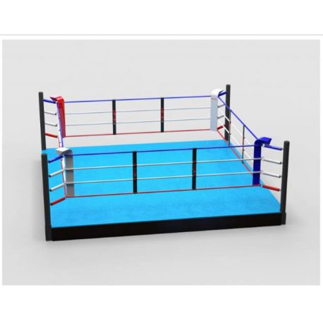 RING PROFESIONAL ENTRENAMIENTO