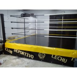 RING PROFESIONAL ENTRENAMIENTO