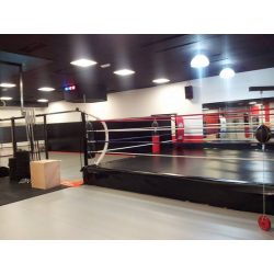 RING PROFESIONAL ENTRENAMIENTO