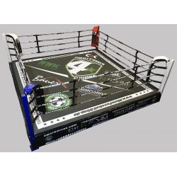 RING PROFESIONAL ENTRENAMIENTO