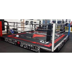 RING PROFESIONAL ENTRENAMIENTO