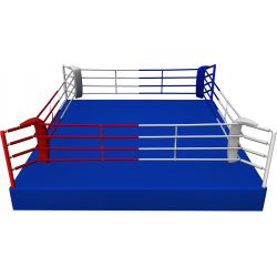 RING PROFESIONAL ENTRENAMIENTO