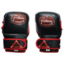 GANTS MMA SPARRING PYTHAGORE