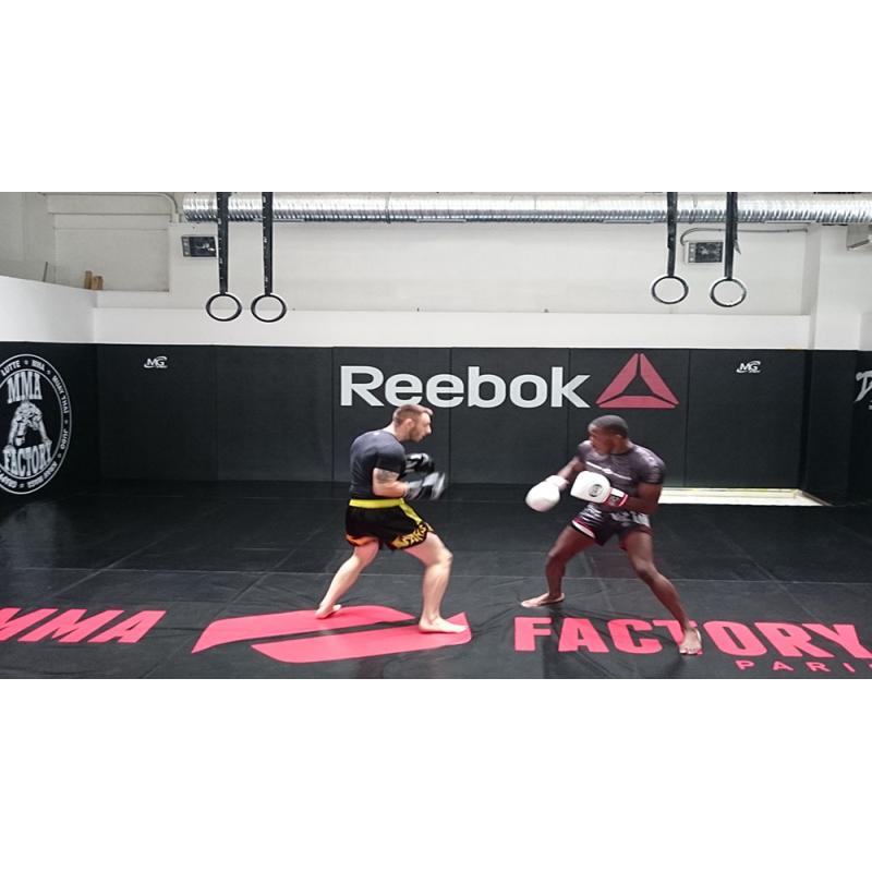 TAPIS DE MMA 5 CM