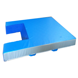 copy of