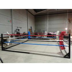 RING ENTRENAMIENTO DESMONTABLE