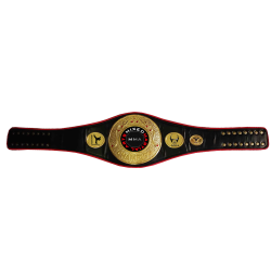 CUSTOMIZABLE CHAMPION BOXING BELT