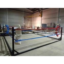 RING ENTRENAMIENTO DESMONTABLE