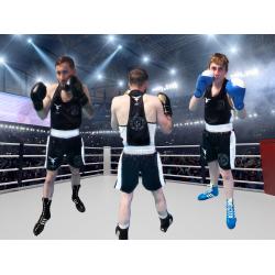 "BOXING CLUB VAL DE BESBRE"...