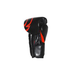 PACK BOXE ROAR ADULTO