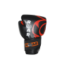 PACK BOXE ROAR ADULTO
