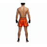 SHORT MUAY-THAI "DRAGON"