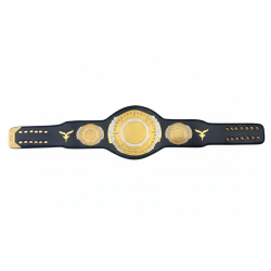 CEINTURE DE CHAMPION...