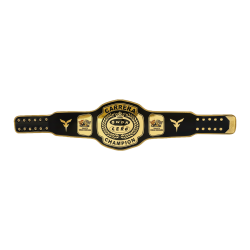 CEINTURE DE CHAMPION...
