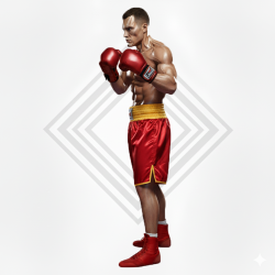 SHORT BOXE ANGLAISE ESP