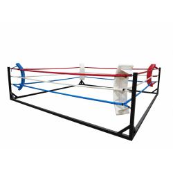 RING ENTRENAMIENTO DESMONTABLE