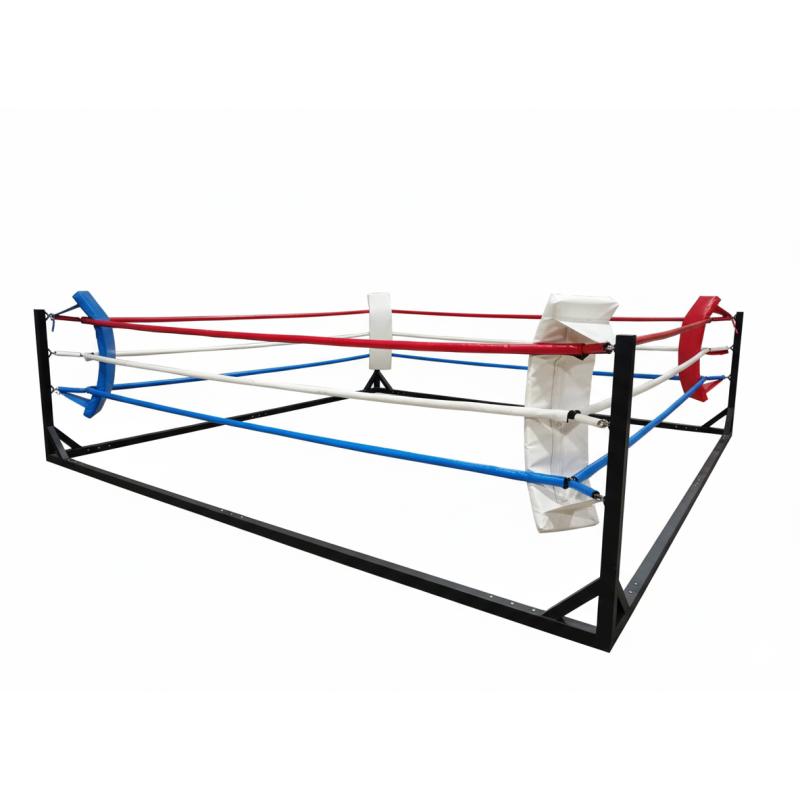 RING ENTRENAMIENTO DESMONTABLE