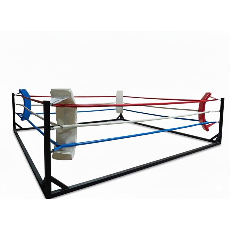 RING ENTRENAMIENTO DESMONTABLE