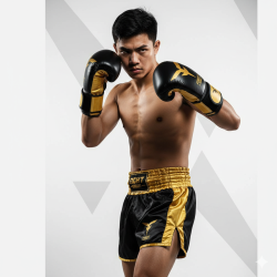 GANTS DE BOXE ENTRAÎENEMENT