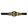 CEINTURE DE CHAMPION  AF2G