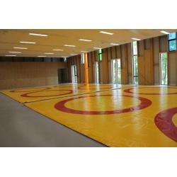 Wrestling's cover - 10m x 10m - 1000cm x 1000 cm- Bicolor