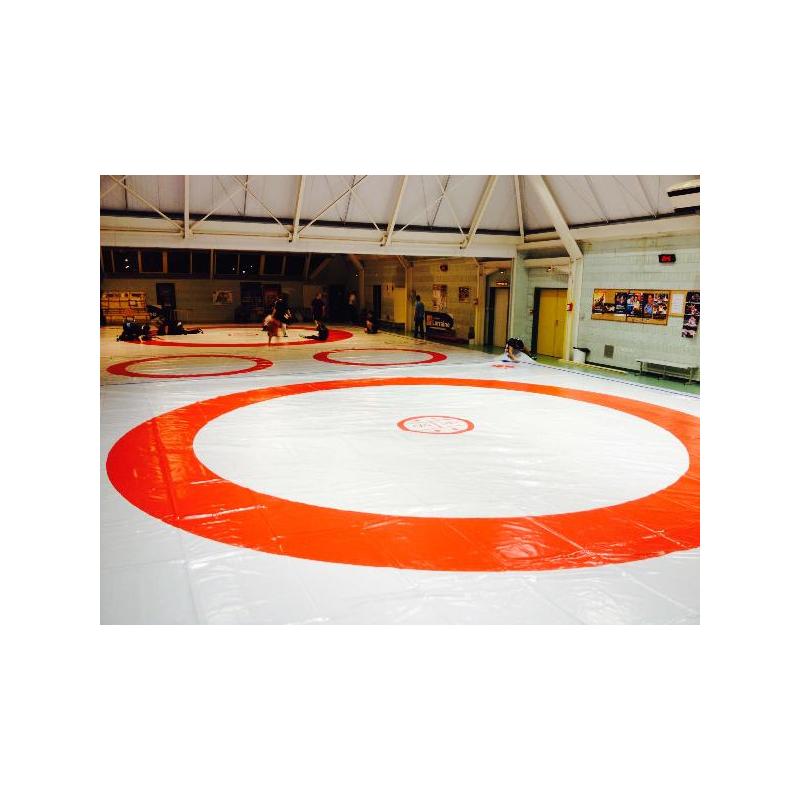 Wrestling's cover - 10m x 10m - 1000cm x 1000 cm- Tricolor