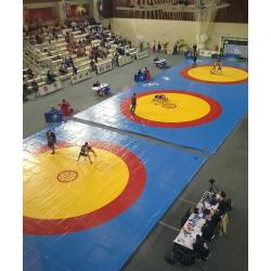 Lona de lucha -12m x 12m- 1200 x 1200 cm- Bicolor