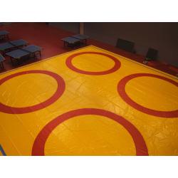 Bache de lutte - 12m x 12m- 1200 x 1200 cm- Bicolore