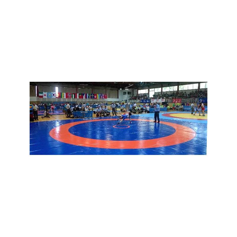 Wrestling's cover - 12m x 12m- 1200 x 1200 cm- Tricolor