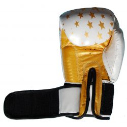 GUANTES PROFESIONAL PIEL "Pro-BOXE"