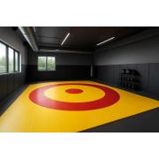 PROFESSIONAL COMBAT CANVASES